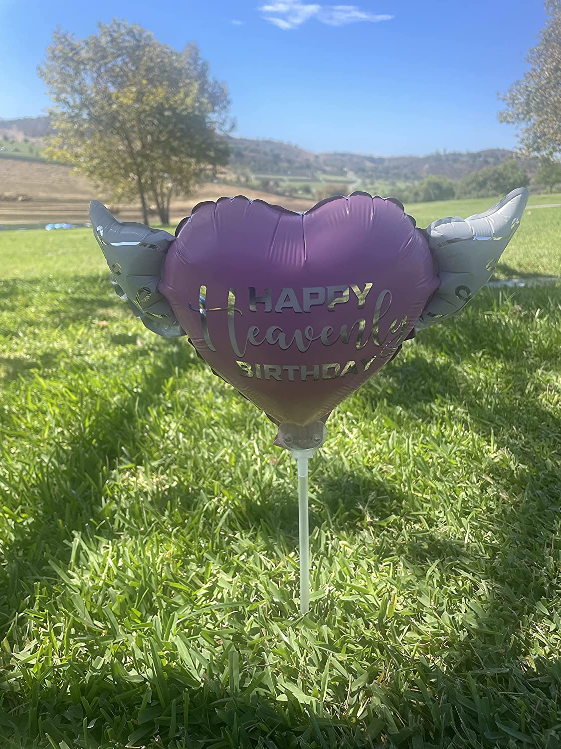 Happy Heavenly Birthday Memorial Balloon on a Stick – Pink Silver Script 2-Pack with Angel Wings