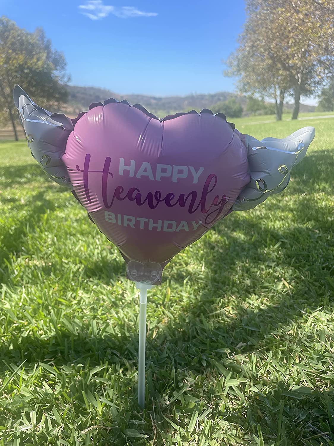 Happy Heavenly Birthday Memorial Balloons on a Stick – Variety 4-Pack Blue & Pink Angel Wings